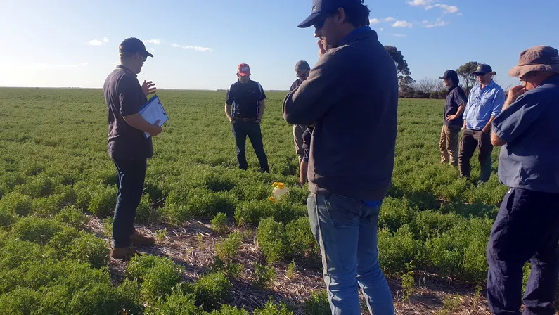 David Cook - Committee members